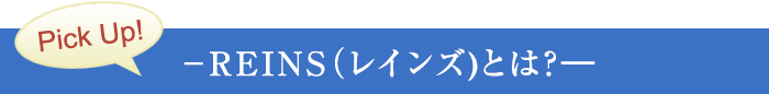 REINS（レインズ)とは？